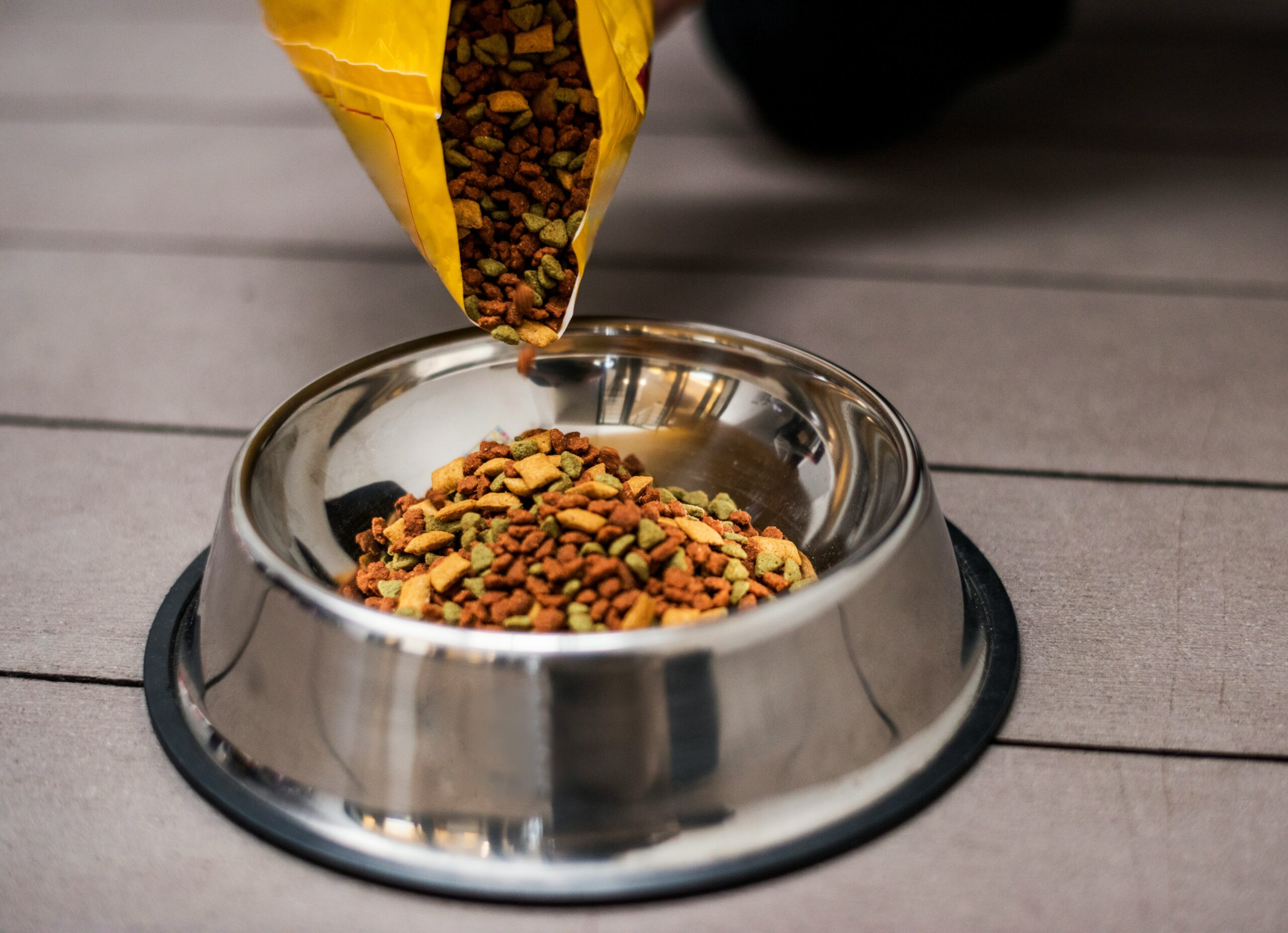 The Impact of Nutrition on Your Pet’s Behavior