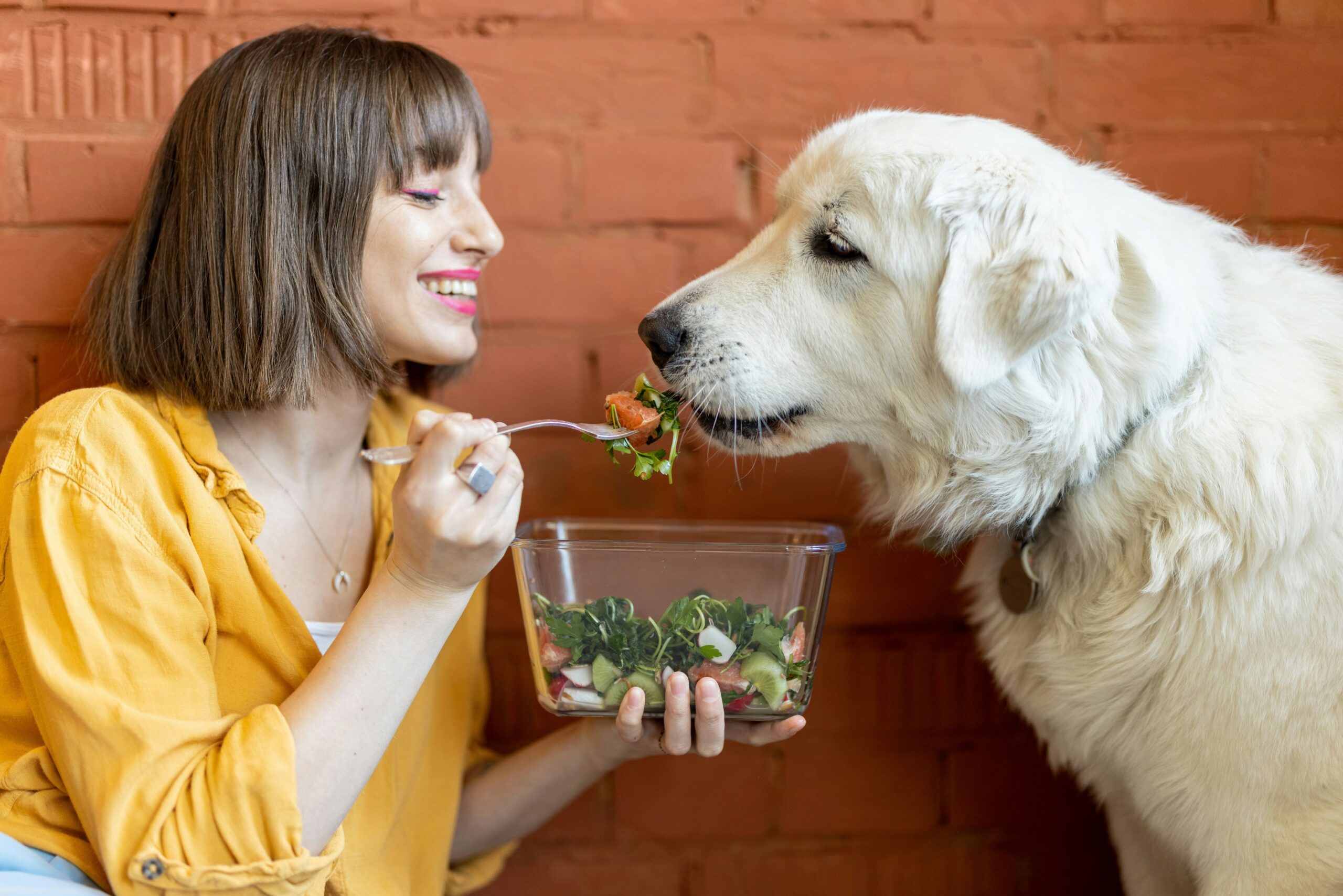 Exploring Plant-Based Diets for Dogs and Cats