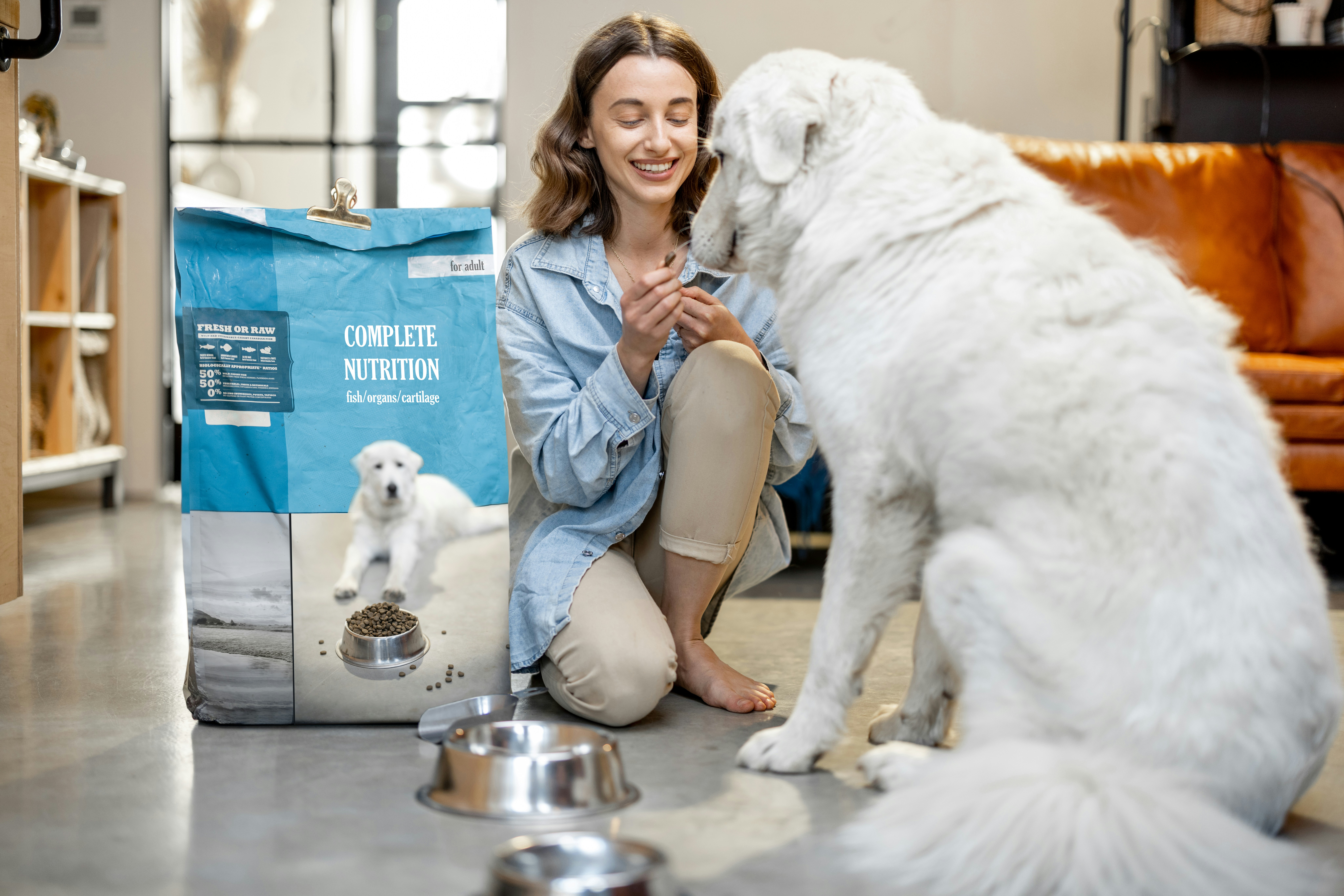 Holistic Approaches to Pet Health Care
