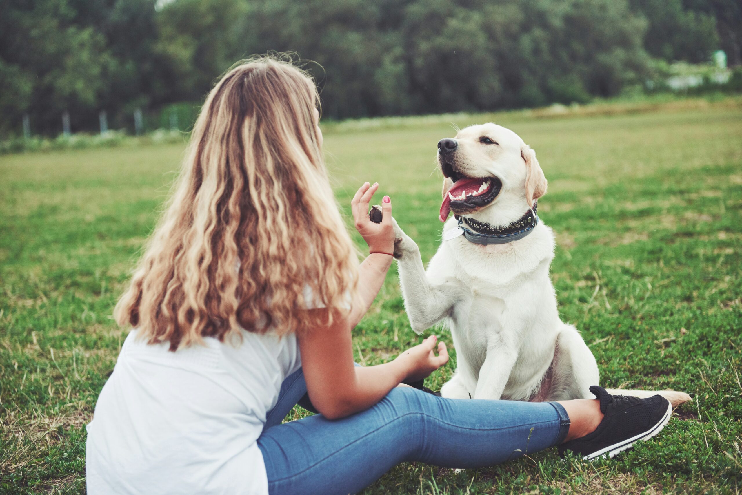 The Science Behind Animal Communication