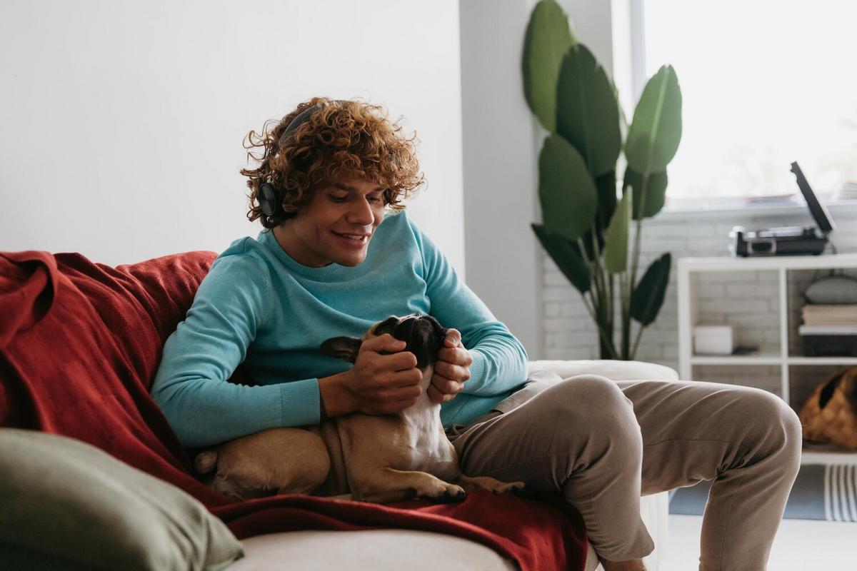Understanding and Preventing Separation Anxiety in Pets