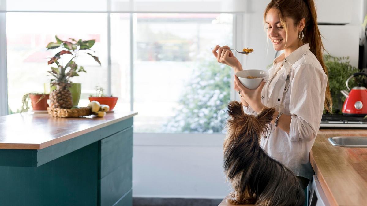 Understanding Pet Food Labels: What You Need to Know