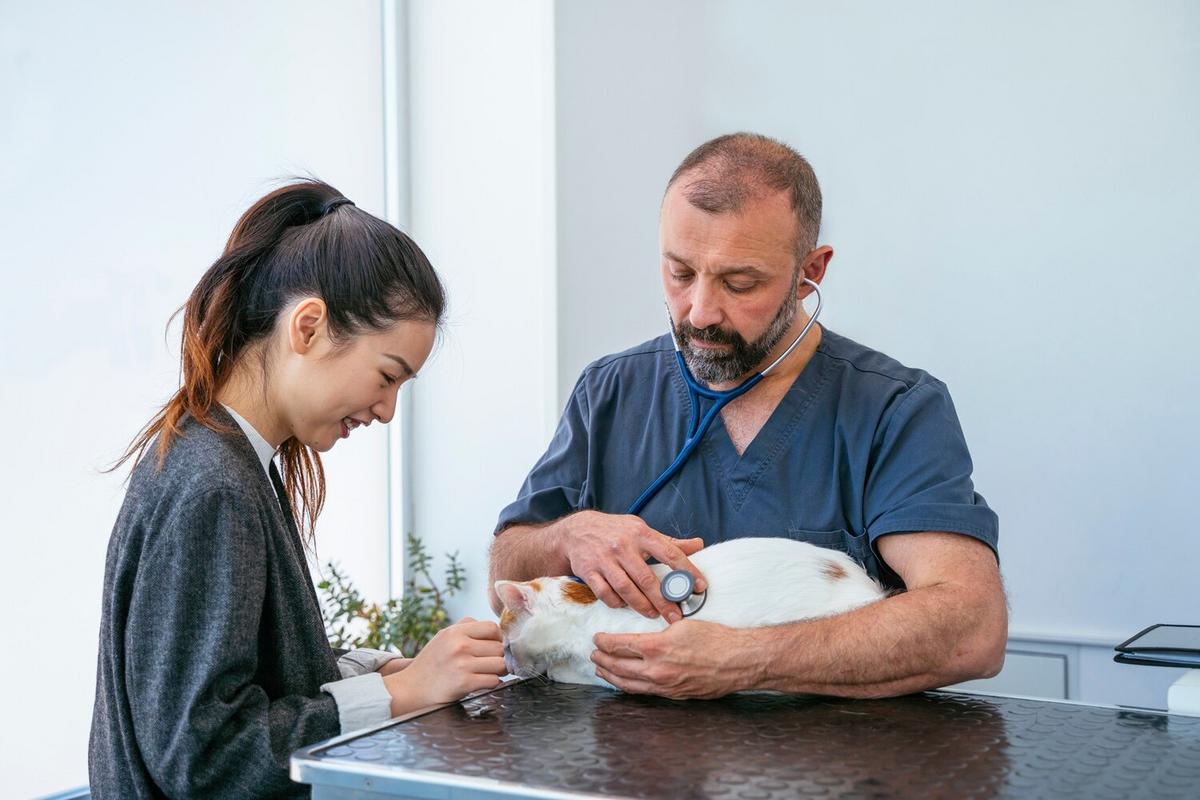Common Pet Health Issues and How to Prevent Them