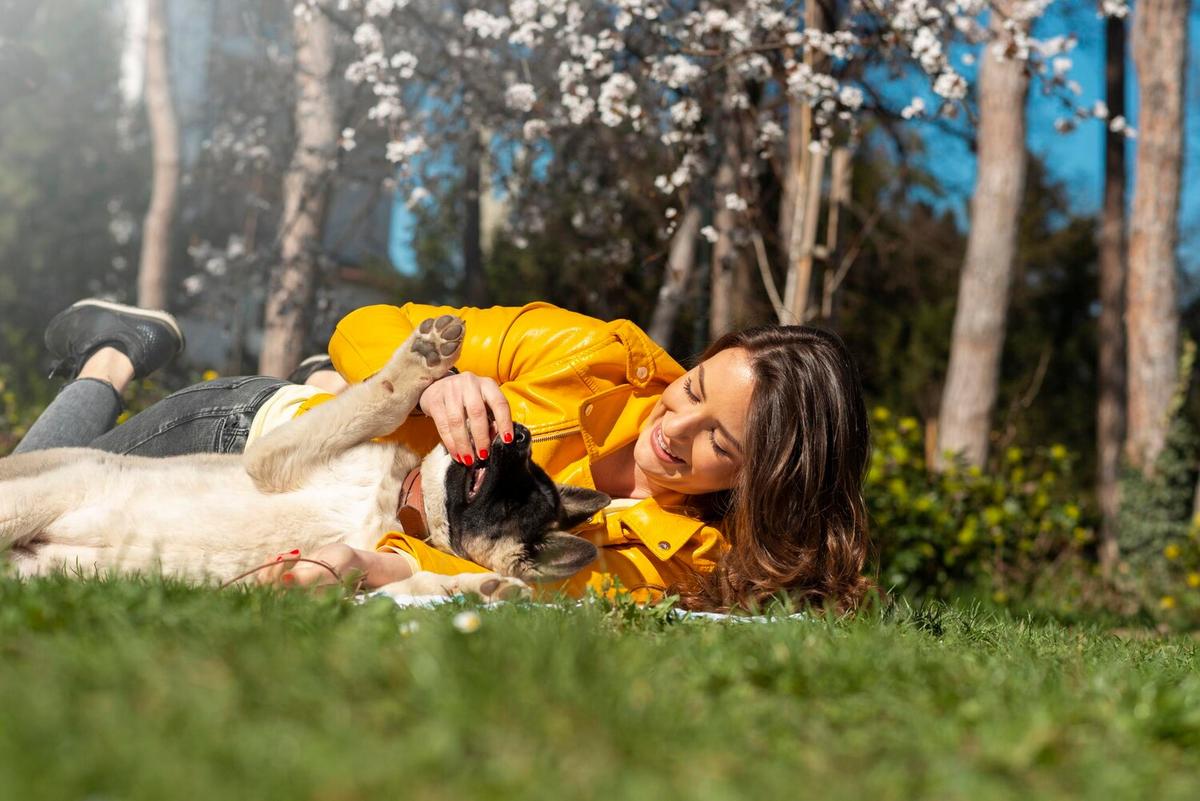 The Role of Exercise in Your Pet’s Overall Wellness