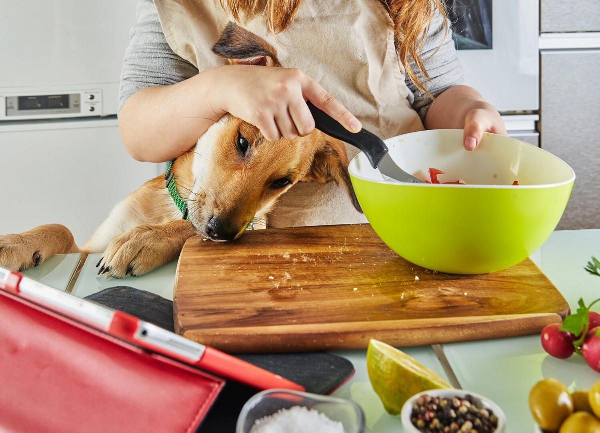 Raw Diets for Pets: Pros and Cons