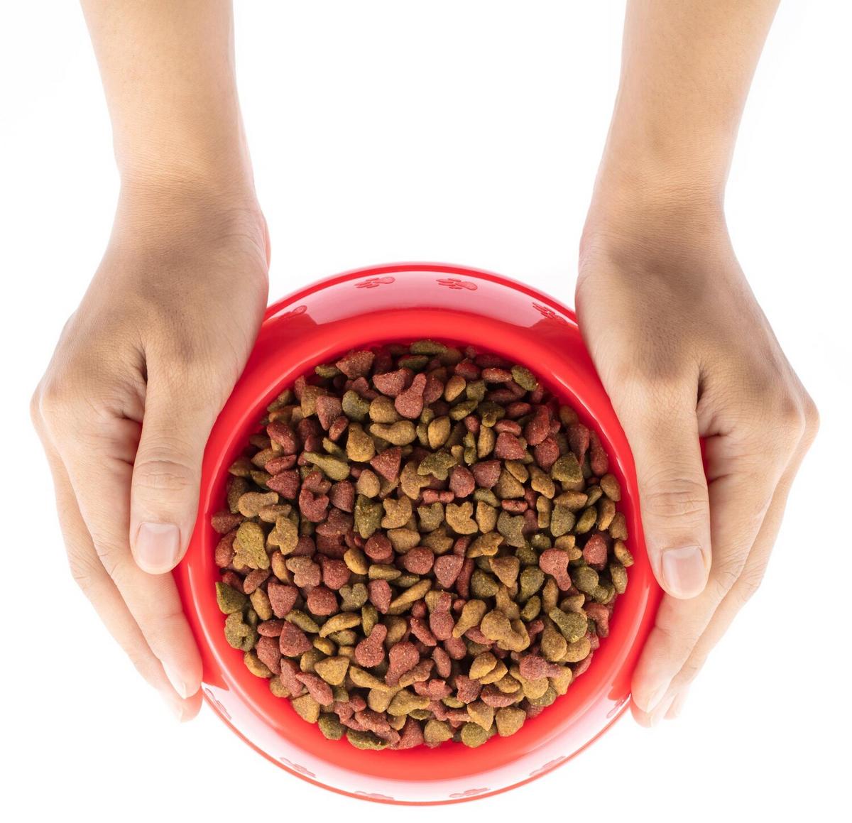 The Ultimate Guide to Choosing the Right Pet Food